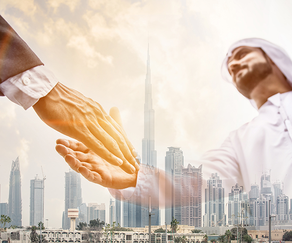 board_members_management_team