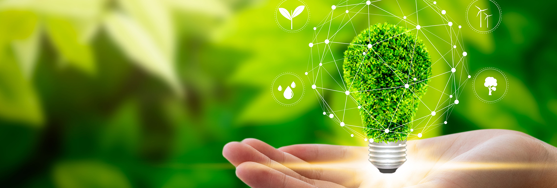 Emirates Islamic ESG Reports